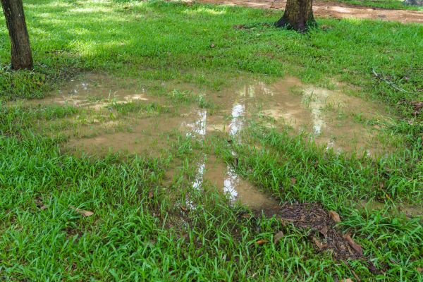 Cost of Storm Water Drainage Service in West Chester