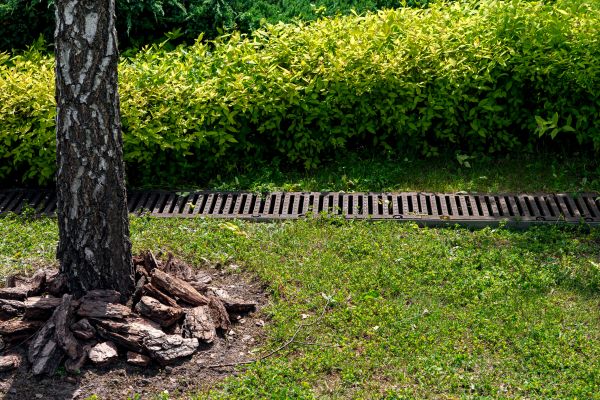 Cost of Yard Water Redirection in West Chester