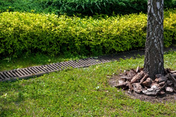 Cost of Residential Landscape Drainage in West Chester