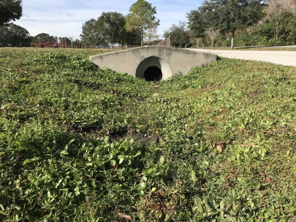 Cost of Swale Drainage Service in West Chester
